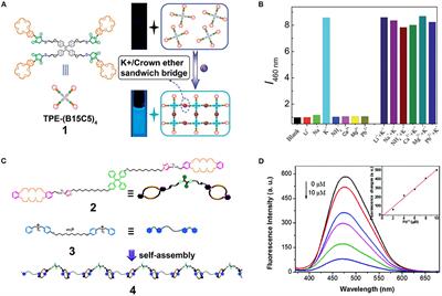 Fluorescent Supramolecular Polymers Formed by Crown Ether-Based Host-Guest Interaction